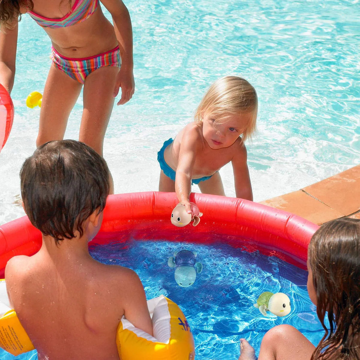 AquaAmis™ – Pack de 4