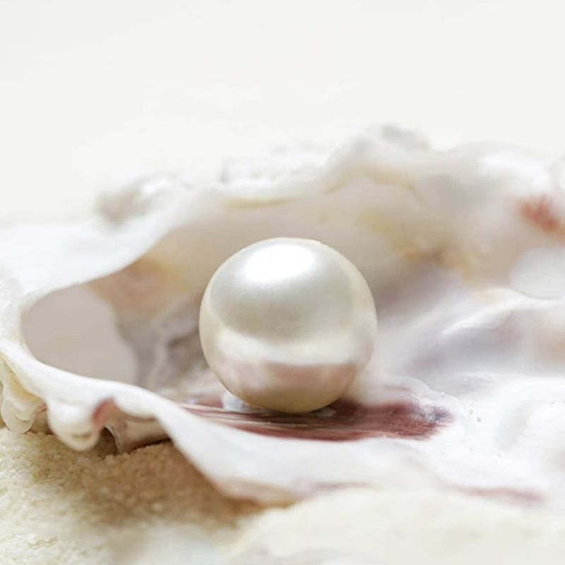 La Perle Précieuse : Un Trésor Naturel à Créer et À Chérir